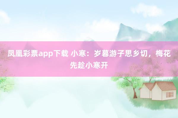 凤凰彩票app下载 小寒：岁暮游子思乡切，梅花先趁小寒开
