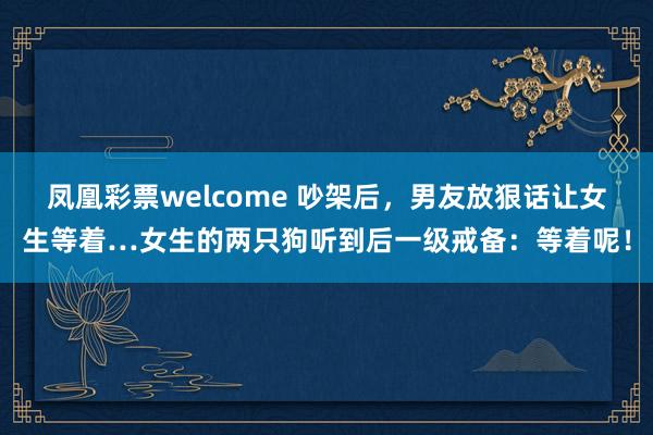 凤凰彩票welcome 吵架后,男友放狠话让女生等着…女生的两只狗听到后一级戒备:等着呢!