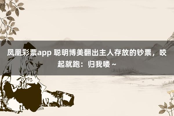 凤凰彩票app 聪明博美翻出主人存放的钞票，咬起就跑：归我喽～