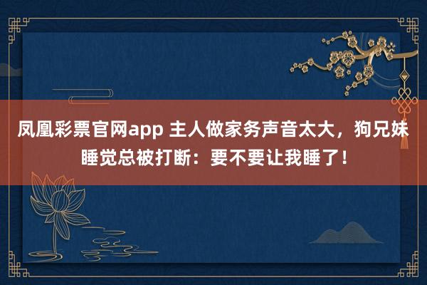 凤凰彩票官网app 主人做家务声音太大，狗兄妹睡觉总被打断：要不要让我睡了！