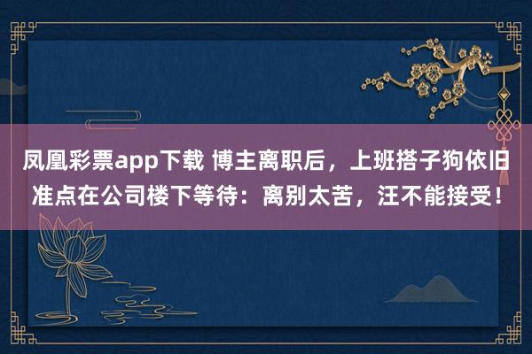 凤凰彩票app下载 博主离职后，上班搭子狗依旧准点在公司楼下等待：离别太苦，汪不能接受！