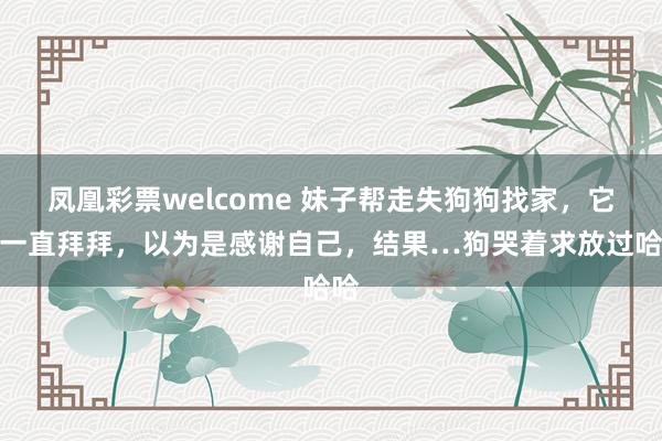 凤凰彩票welcome 妹子帮走失狗狗找家，它却一直拜拜，以为是感谢自己，结果…狗哭着求放过哈哈