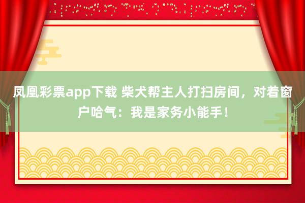 凤凰彩票app下载 柴犬帮主人打扫房间，对着窗户哈气：我是家务小能手！