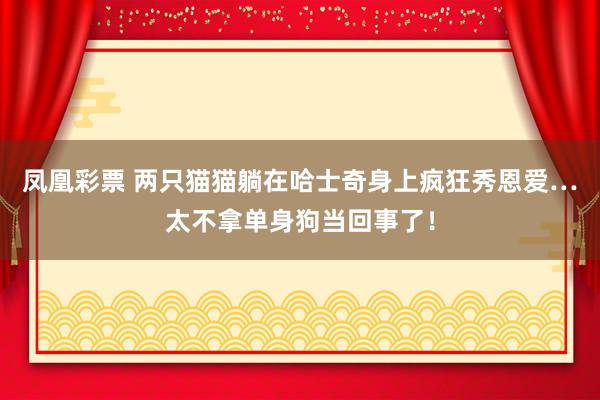 凤凰彩票 两只猫猫躺在哈士奇身上疯狂秀恩爱…太不拿单身狗当回事了！