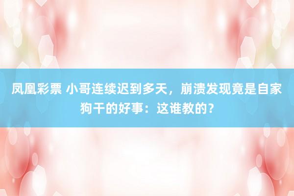 凤凰彩票 小哥连续迟到多天，崩溃发现竟是自家狗干的好事：这谁教的？