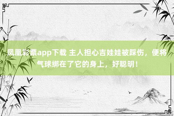 凤凰彩票app下载 主人担心吉娃娃被踩伤，便将气球绑在了它的身上，好聪明！