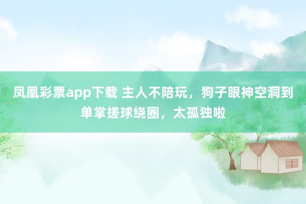 凤凰彩票app下载 主人不陪玩，狗子眼神空洞到单掌搓球绕圈，太孤独啦