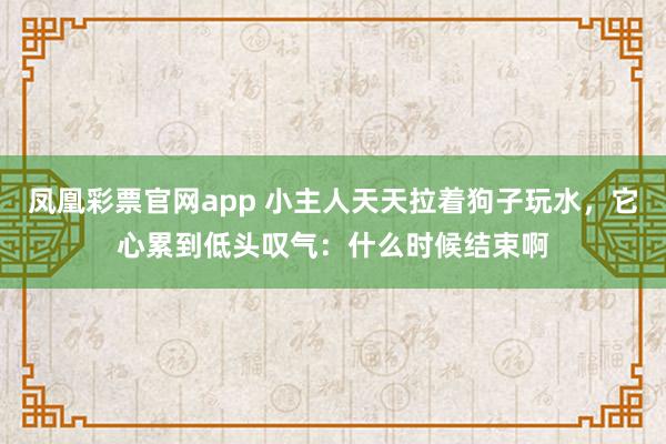 凤凰彩票官网app 小主人天天拉着狗子玩水，它心累到低头叹气：什么时候结束啊