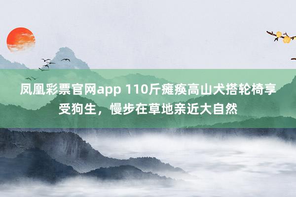 凤凰彩票官网app 110斤瘫痪高山犬搭轮椅享受狗生，慢步在草地亲近大自然