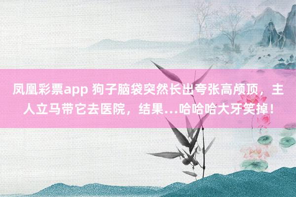 凤凰彩票app 狗子脑袋突然长出夸张高颅顶，主人立马带它去医院，结果…哈哈哈大牙笑掉！