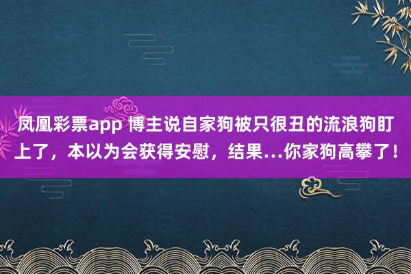 凤凰彩票app 博主说自家狗被只很丑的流浪狗盯上了，本以为会获得安慰，结果…你家狗高攀了！