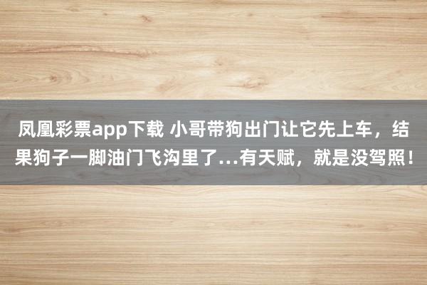 凤凰彩票app下载 小哥带狗出门让它先上车，结果狗子一脚油门飞沟里了…有天赋，就是没驾照！