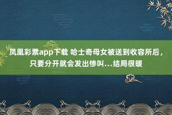 凤凰彩票app下载 哈士奇母女被送到收容所后，只要分开就会发出惨叫…结局很暖