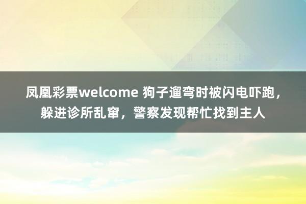 凤凰彩票welcome 狗子遛弯时被闪电吓跑，躲进诊所乱窜，警察发现帮忙找到主人
