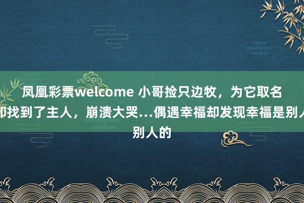 凤凰彩票welcome 小哥捡只边牧，为它取名后却找到了主人，崩溃大哭…偶遇幸福却发现幸福是别人的