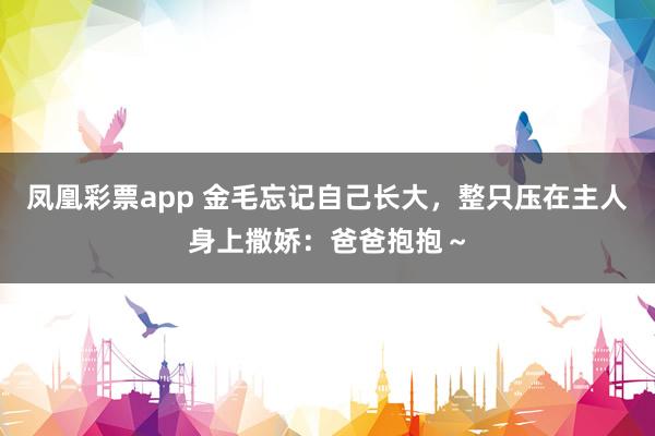 凤凰彩票app 金毛忘记自己长大,整只压在主人身上撒娇:爸爸抱抱~