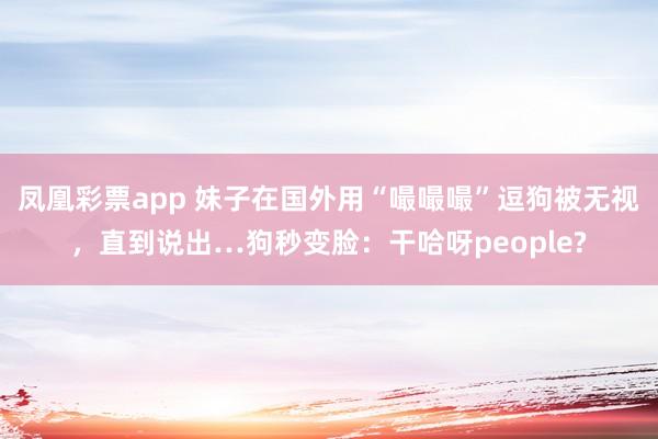 凤凰彩票app 妹子在国外用“嘬嘬嘬”逗狗被无视，直到说出…狗秒变脸：干哈呀people?