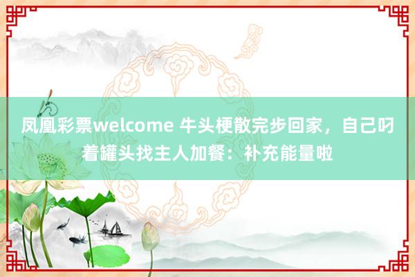 凤凰彩票welcome 牛头梗散完步回家，自己叼着罐头找主人加餐：补充能量啦