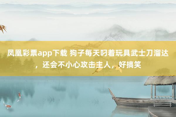 凤凰彩票app下载 狗子每天叼着玩具武士刀溜达，还会不小心攻击主人，好搞笑