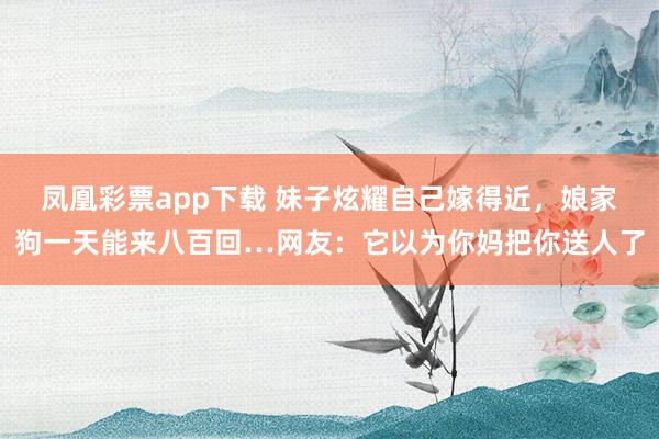 凤凰彩票app下载 妹子炫耀自己嫁得近,娘家狗一天能来八百回…网友:它以为你妈把你送人了