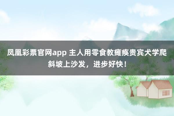 凤凰彩票官网app 主人用零食教瘫痪贵宾犬学爬斜坡上沙发，进步好快！