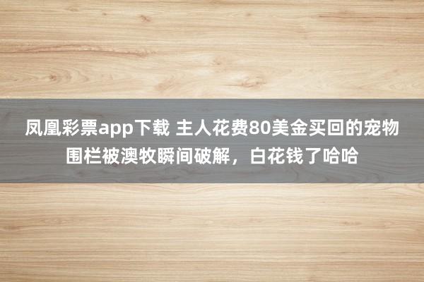 凤凰彩票app下载 主人花费80美金买回的宠物围栏被澳牧瞬间破解，白花钱了哈哈