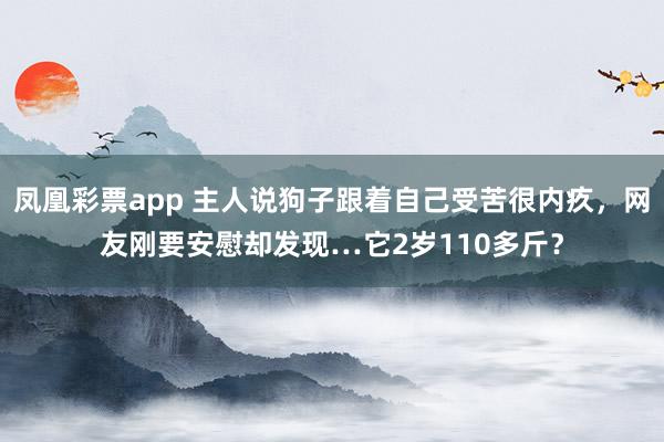 凤凰彩票app 主人说狗子跟着自己受苦很内疚，网友刚要安慰却发现…它2岁110多斤？