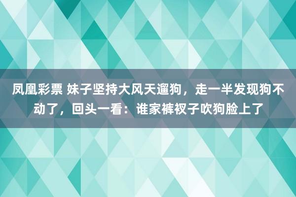 凤凰彩票 妹子坚持大风天遛狗，走一半发现狗不动了，回头一看：谁家裤衩子吹狗脸上了