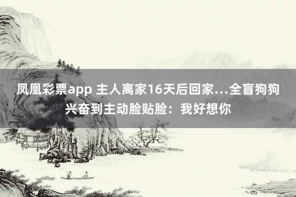 凤凰彩票app 主人离家16天后回家…全盲狗狗兴奋到主动脸贴脸：我好想你
