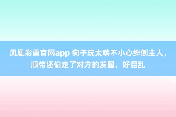 凤凰彩票官网app 狗子玩太嗨不小心绊倒主人，顺带还偷走了对方的发圈，好混乱