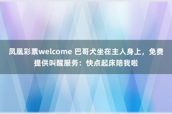 凤凰彩票welcome 巴哥犬坐在主人身上，免费提供叫醒服务：快点起床陪我啦