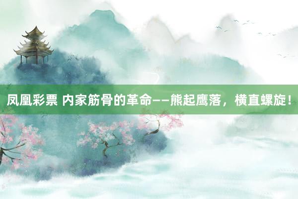 凤凰彩票 内家筋骨的革命——熊起鹰落，横直螺旋！