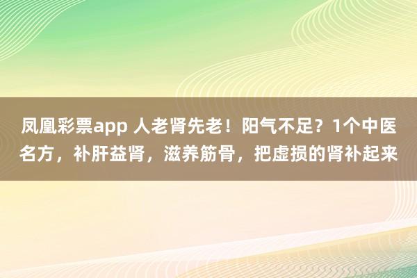 凤凰彩票app 人老肾先老！阳气不足？1个中医名方，补肝益肾，滋养筋骨，把虚损的肾补起来