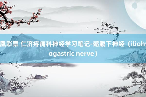 凤凰彩票 仁济疼痛科神经学习笔记-髂腹下神经（iliohypogastric nerve）