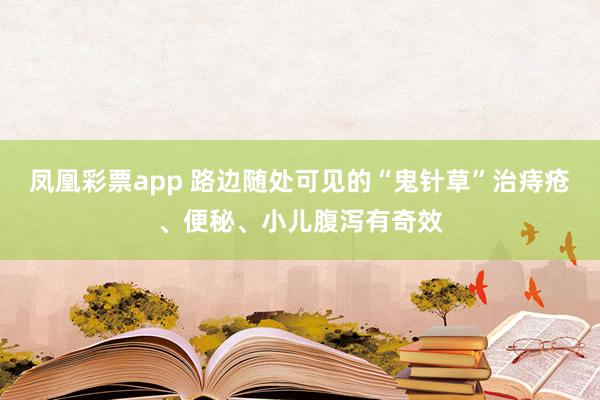 凤凰彩票app 路边随处可见的“鬼针草”治痔疮、便秘、小儿腹泻有奇效