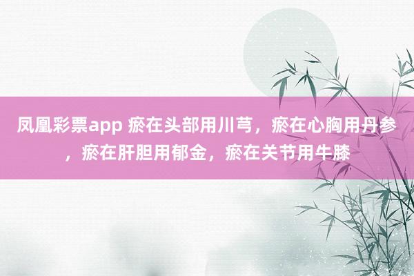 凤凰彩票app 瘀在头部用川芎，瘀在心胸用丹参，瘀在肝胆用郁金，瘀在关节用牛膝