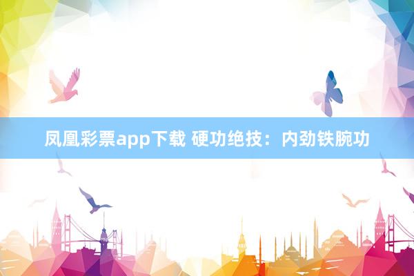 凤凰彩票app下载 硬功绝技：内劲铁腕功