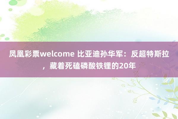 凤凰彩票welcome 比亚迪孙华军：反超特斯拉，藏着死磕磷酸铁锂的20年