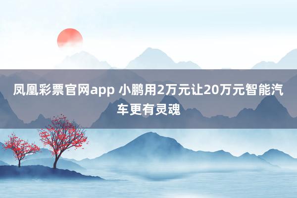 凤凰彩票官网app 小鹏用2万元让20万元智能汽车更有灵魂