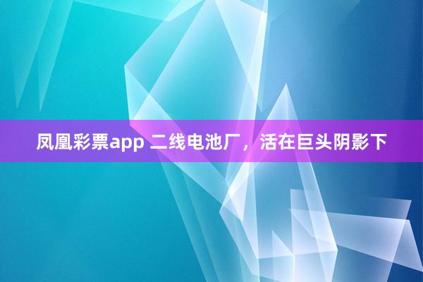 凤凰彩票app 二线电池厂,活在巨头阴影下
