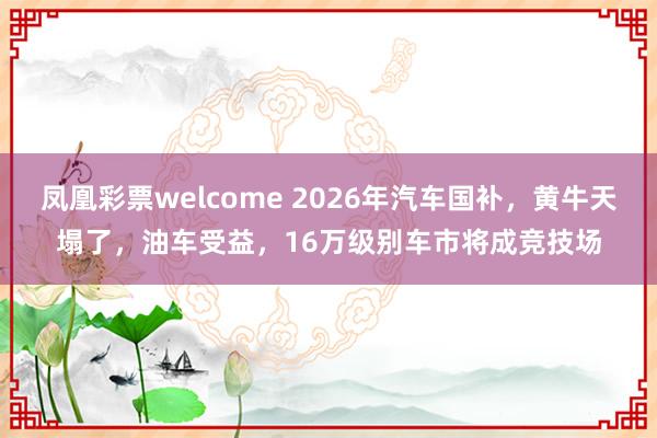 凤凰彩票welcome 2026年汽车国补，黄牛天塌了，油车受益，16万级别车市将成竞技场