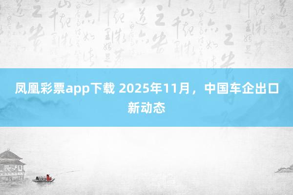 凤凰彩票app下载 2025年11月,中国车企出口新动态
