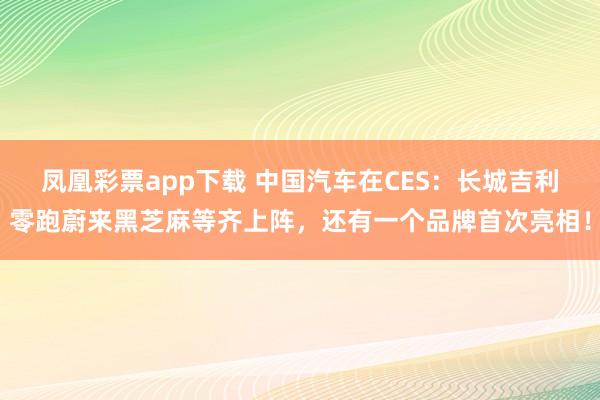 凤凰彩票app下载 中国汽车在CES：长城吉利零跑蔚来黑芝麻等齐上阵，还有一个品牌首次亮相！