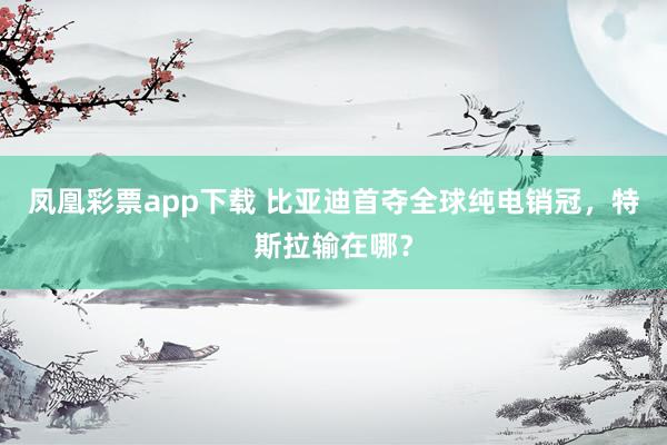 凤凰彩票app下载 比亚迪首夺全球纯电销冠，特斯拉输在哪？