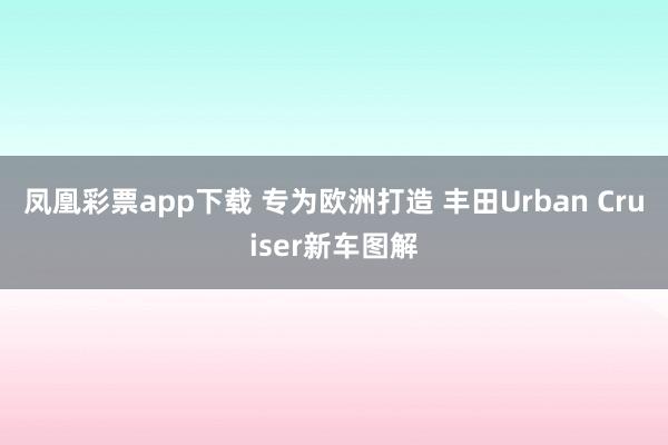 凤凰彩票app下载 专为欧洲打造 丰田Urban Cruiser新车图解