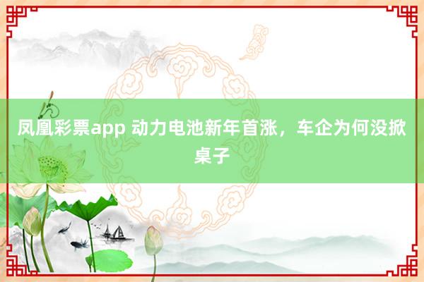 凤凰彩票app 动力电池新年首涨，车企为何没掀桌子