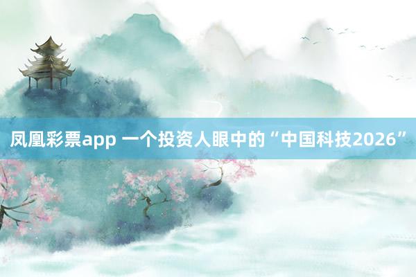 凤凰彩票app 一个投资人眼中的“中国科技2026”