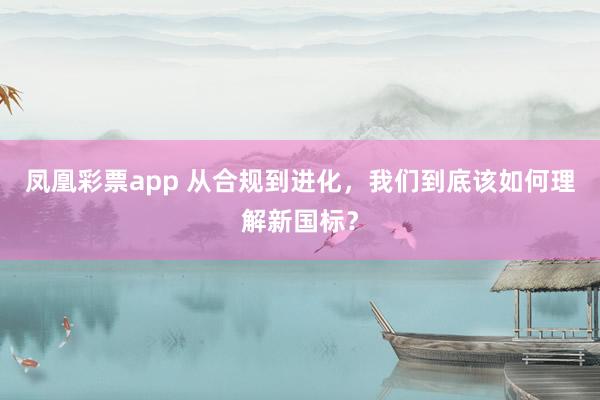 凤凰彩票app 从合规到进化，我们到底该如何理解新国标？