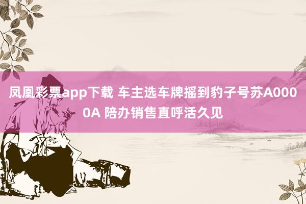 凤凰彩票app下载 车主选车牌摇到豹子号苏A0000A 陪办销售直呼活久见