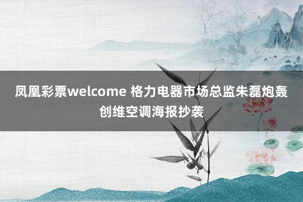 凤凰彩票welcome 格力电器市场总监朱磊炮轰创维空调海报抄袭